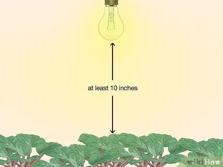 Imagen titulada Grow Plants With Grow Lights Step 4