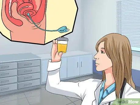 Imagen titulada Diagnose and Treat a Prolapsed Bladder Step 14