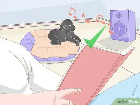 Imagen titulada Get a Puppy to Sleep Step 8