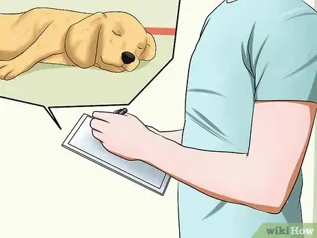 Imagen titulada Diagnose Epilepsy in Beagles Step 4