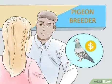 Imagen titulada Train a Homing Pigeon Step 3