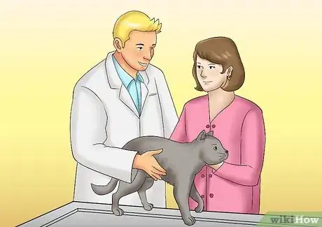 Imagen titulada Care for a Cat with Kidney Failure Step 9