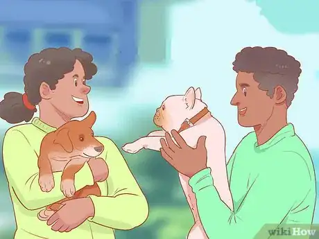 Imagen titulada Introduce a Dog to a Dog Park Step 19
