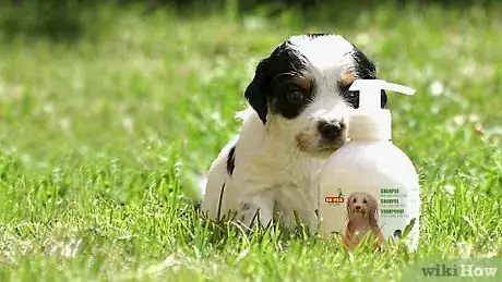 Imagen titulada Bathe Your Puppy Step 4