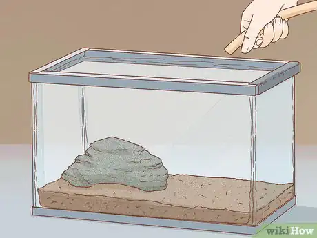 Imagen titulada Care for Turtles Step 4