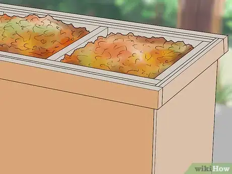 Imagen titulada Deal with Autumn Leaves Step 13