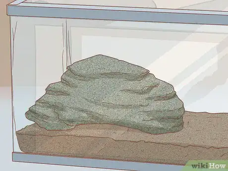 Imagen titulada Care for Turtles Step 3