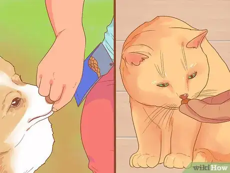 Imagen titulada Introduce a New Puppy to the Resident Cat Step 9