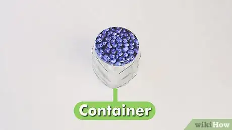 Imagen titulada Make a Bug Terrarium Step 1