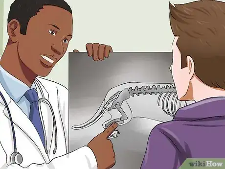 Imagen titulada Diagnose Back Problems in Dachshunds Step 6