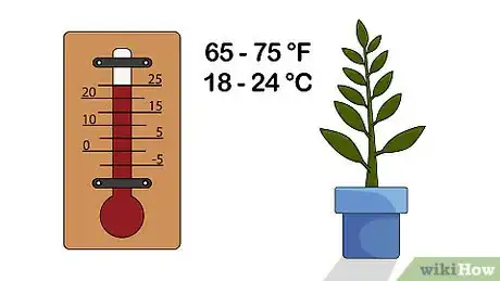 Imagen titulada Grow a Ficus Benjamina Step 14