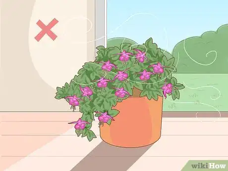 Imagen titulada Care for Fuchsia Step 7