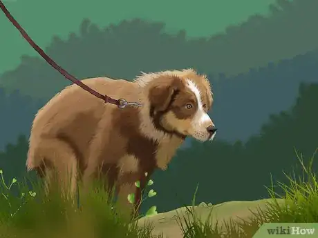 Imagen titulada Potty Train a Puppy in an Apartment Step 3
