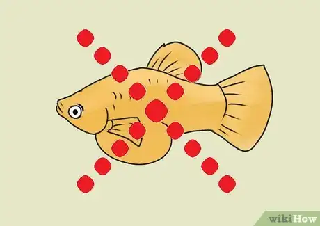 Imagen titulada Breed and Care for Platies Step 8