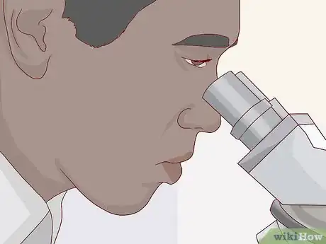 Imagen titulada Find and Care for a Pet Tardigrade (Water Bear) Step 8