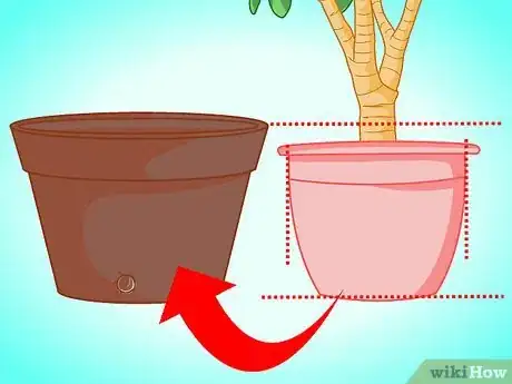 Imagen titulada Transplant a Jade Plant Step 4