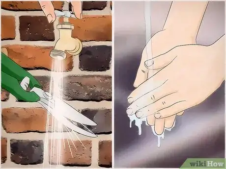 Imagen titulada Prune Oleander Step 14