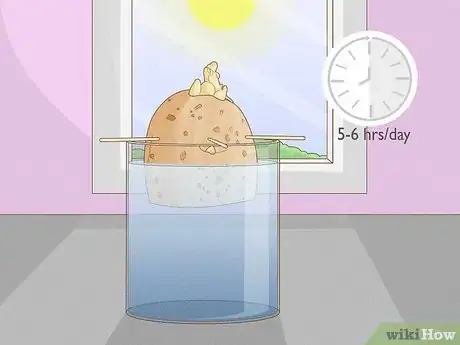 Imagen titulada Grow Potatoes Indoors Step 6