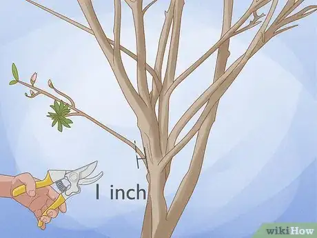 Imagen titulada Prune a Magnolia Tree Step 4