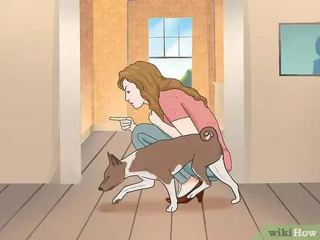 Imagen titulada Introduce a New Dog to Your House and Other Dogs Step 21