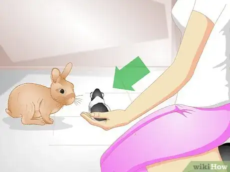 Imagen titulada Tell if Your Rabbit Is Lonely Step 7