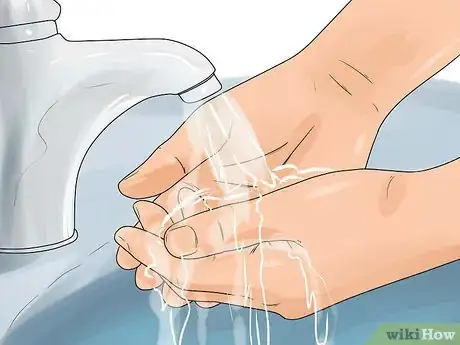 Imagen titulada Care for a Fledgling if the Mom Leaves Step 4