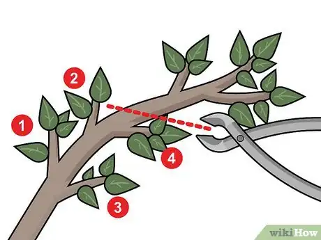 Imagen titulada Prune a Bonsai Tree Step 3