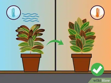 Imagen titulada Care for a Croton Plant Step 14