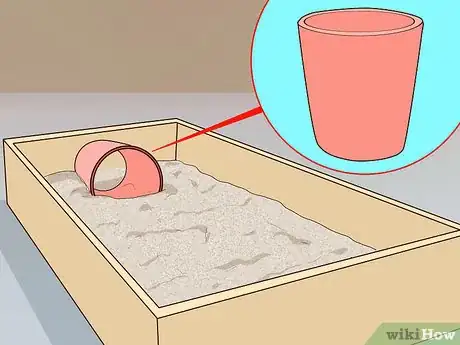 Imagen titulada Take Care of a Russian Tortoise Step 3