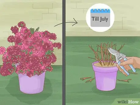 Imagen titulada Prune Azaleas Step 5