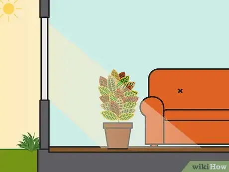 Imagen titulada Care for a Croton Plant Step 02