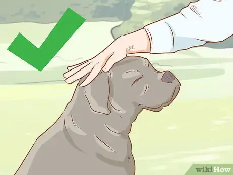 Imagen titulada Give an Insulin Shot to Dogs Step 12