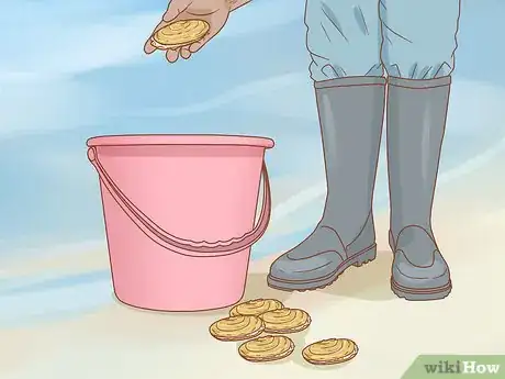 Imagen titulada Dig for Clams Step 15