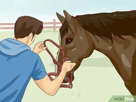 Imagen titulada Break a Horse Step 7