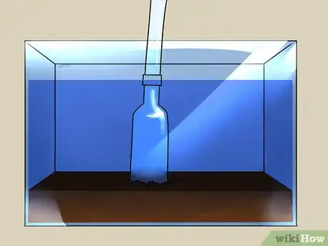 Imagen titulada Build a Self Sustaining Ecosystem Step 9