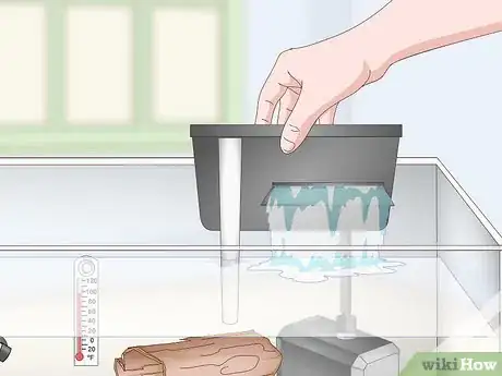 Imagen titulada Keep a Bullhead Catfish Step 9