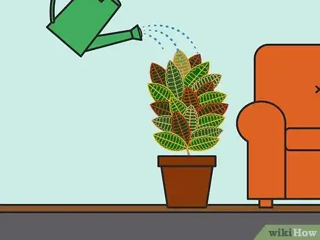 Imagen titulada Care for a Croton Plant Step 06