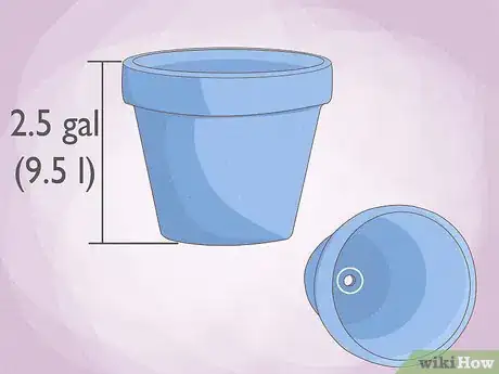 Imagen titulada Grow Potatoes Indoors Step 7