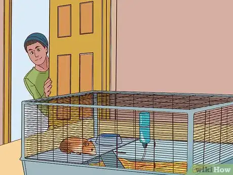 Imagen titulada Care for a Hamster Step 18