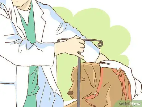 Imagen titulada Wrap a Dog’s Shoulder Step 10
