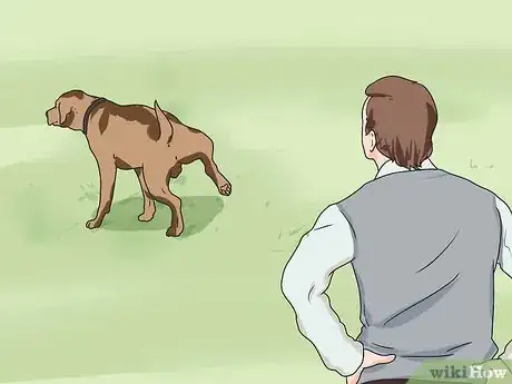 Imagen titulada Introduce a New Dog to Your House and Other Dogs Step 15