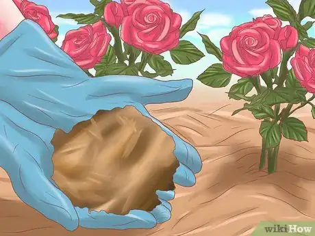 Imagen titulada Make Roses Last Longer Step 11