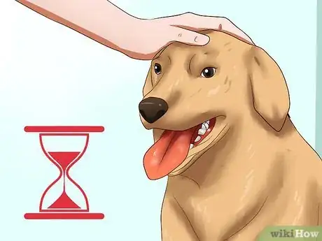 Imagen titulada Get Dogs to Stop Barking Step 9