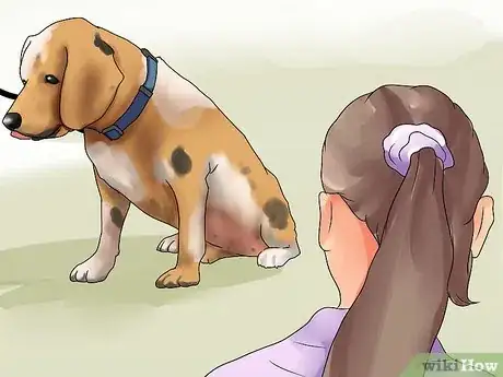 Imagen titulada Recognize Bloat in Dogs Step 8