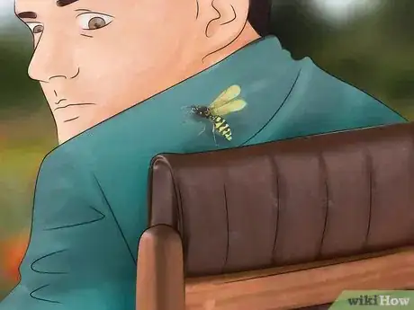 Imagen titulada Identify Insect Bites Step 8