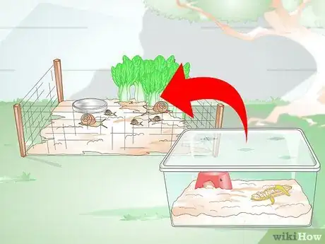 Imagen titulada Build a Snail House Step 13
