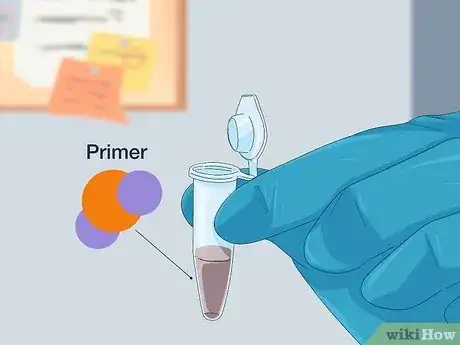 Imagen titulada Determine Genotype Step 5