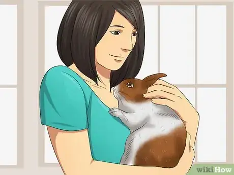 Imagen titulada Care For an Elderly Rabbit Step 3