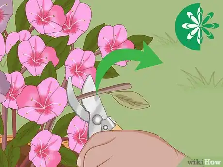 Imagen titulada Plant Azaleas Step 9