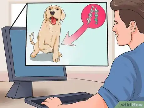 Imagen titulada Get Dogs to Mate Step 3